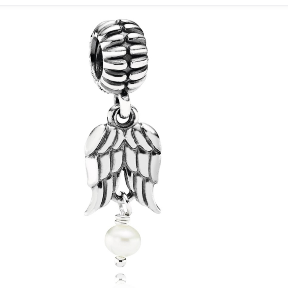 New Retired Pandora Charm